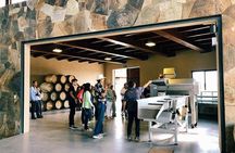 Tasting of 5 wines and tour