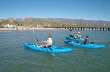 Kayak Tour of Santa Barbara with Experienced Guide