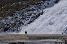 Mendenhall Glacier Trolley Tour