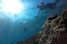  Marietas Islands Snorkeling Tour