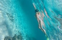  Marietas Islands Snorkeling Tour