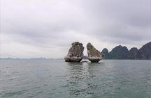 Shore Excursion: Wonderful Day Cruise at Halong Bay