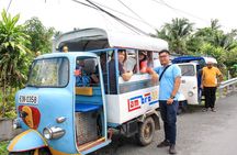 1-Day Mekong Delta Deluxe Tour: My Tho & Ben Tre (Max 10)