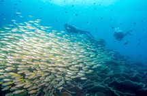 Easy Fun Scuba Dive in El Nido
