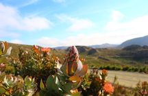 Swartberg Sunset Tour and Dinner