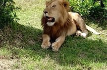 Maasai Mara Game Reserve