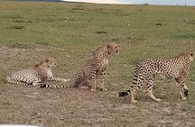 Maasai Mara Game Reserve