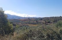 Wine, Olive Oil, and Honey Tour with Winemaker