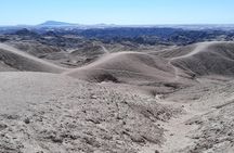 Wonderful Welwitschia Goanikontes Moonlandscape Tour
