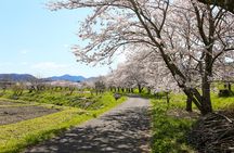 Japan's Rural Life & Nature: Private Half Day Cycling Near Kyoto