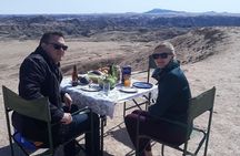 Wonderful Welwitschia Goanikontes Moonlandscape Tour