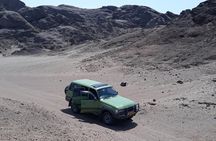 Wonderful Welwitschia Goanikontes Moonlandscape Tour