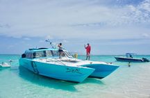 Boomerang's Best of St. Martin/Maarten: Swim with Turtles