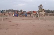 Agadir Sunset Camel Ride with Delicious Couscous & Barbecue 
