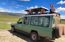 From Kigali: 12 hour Day-trip Akagera Game Drive with Lunch