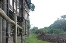 Aberdares/ Lake Nakuru/ Masai Mara 5 Days Lodge Safari