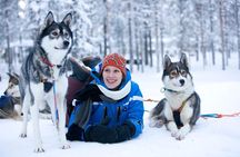 Husky Safari from Rovaniemi Including a Husky Sled Ride