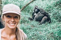 From Kigali: 3 Days Gorillas and golden monkeys trek Adventure