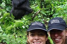 From Kigali: 3 Days Gorillas and golden monkeys trek Adventure