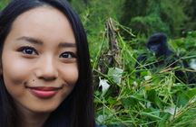From Kigali: 3 Days Gorillas and golden monkeys trek Adventure