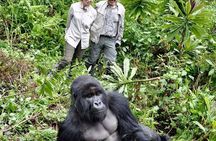 From Kigali: 3 Days Gorillas and golden monkeys trek Adventure