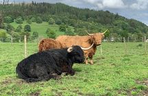 Central Highlands lochs Stirling Whisky private driving