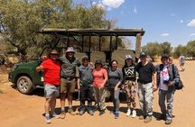 Pilanesberg National Park Safari in Open Vehicle from Johannesburg