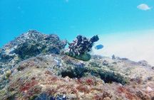 Wave Break Island Scuba Diving on the Gold Coast