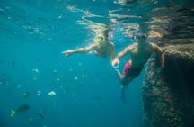 Land's End & Snorkel Tour in a Glass Bottom Boat (VisitA Cabo)