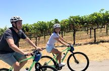 Guided Healdsburg Wine Country Bike and Wine Tasting Tour with lunch