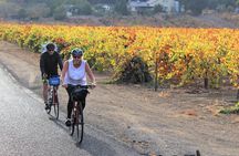 Guided Healdsburg Wine Country Bike and Wine Tasting Tour with lunch