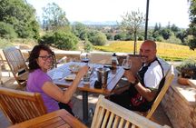 Guided Healdsburg Wine Country Bike and Wine Tasting Tour with lunch