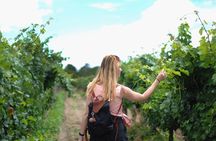 Guided Healdsburg Wine Country Bike and Wine Tasting Tour with lunch