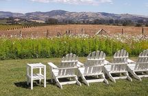 Guided Healdsburg Wine Country Bike and Wine Tasting Tour with lunch