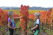 Calistoga Country Bike and Wine Tasting Tour