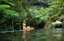 Floating Breakfast at Private jungle pool , Swing , Sunrise and Balinesse Spa