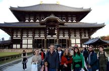 Nara 6hr Private Tour with Government-Licensed Guide