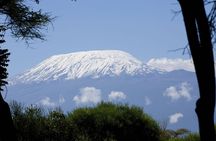 Amboseli Tented Camp 3 Days Safari