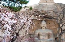 Datong Classic Day Tour