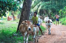 Lifestyle Tour with Homestay - 2 Days 1 Night