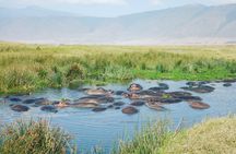 5 Days Safari to Serengeti, Ngorongoro, Tarangire from Arusha
