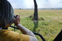 5 Days Safari to Serengeti, Ngorongoro, Tarangire from Arusha