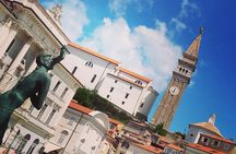 Experience Slovenian Coast line with Wine Tasting from Trieste