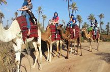1 Hour CAMELS RIDE palmeraie (casa road ) min 2 pers-Private
