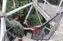 1 Day Canopy walk way in Nyungwe Natioinal park 