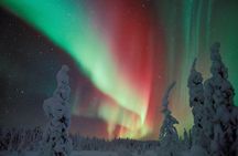 Northern Lights Snowmobile Safari from Rovaniemi with Campfire Picnic