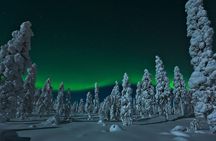 Northern Lights Snowmobile Safari from Rovaniemi with Campfire Picnic