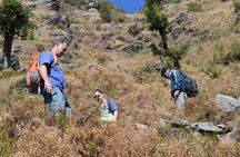 Top Tibba Day Hike and Dhanaulti Visit