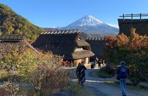 Private Sightseeing to Mt. Fuji and Hakone GREEN NUMBER PLATES