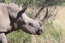 Rhino & Lion Nature Reserve & Wonder Caves